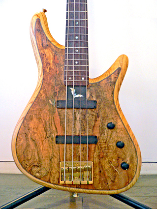 “SUGI